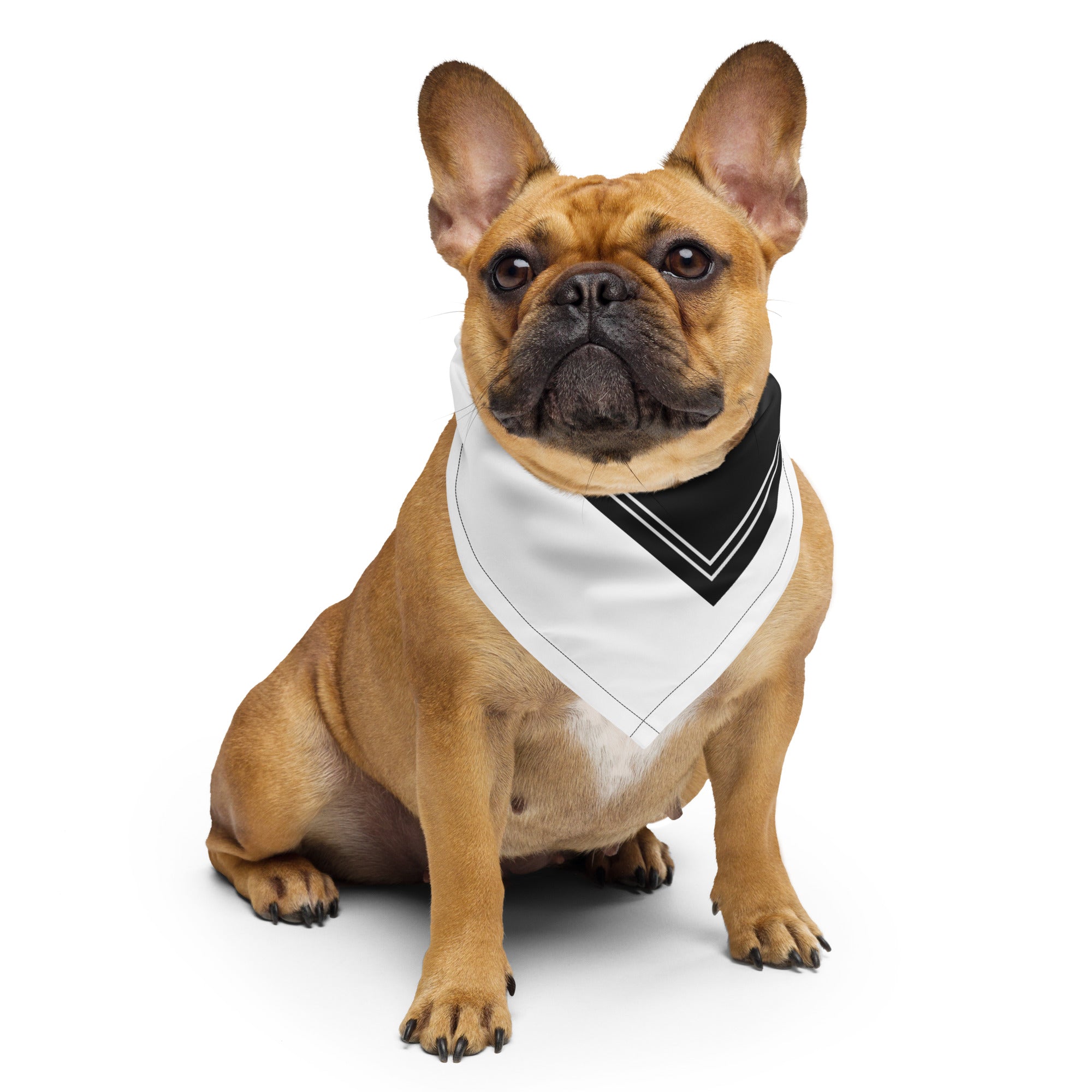We Fight Monsters All-over print Bandana